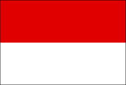 移転価格税制　インドネシア