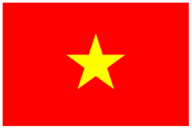 移転価格税制　ベトナム