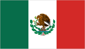 移転価格　メキシコ